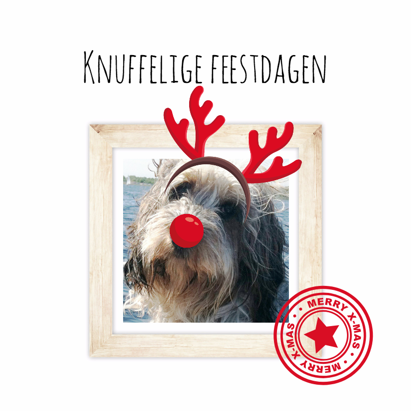 Kerstkaarten - Kerstkaart met je huisdier