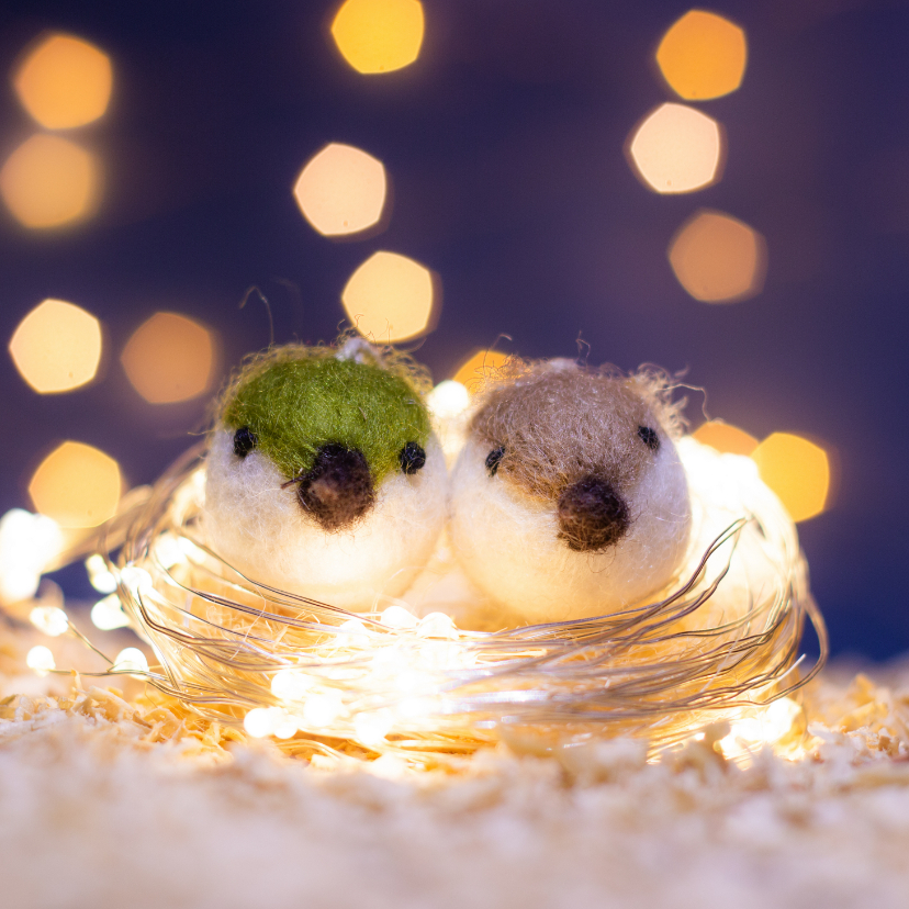 Kerstkaarten - Kerstkaart met twee vogels op een nest