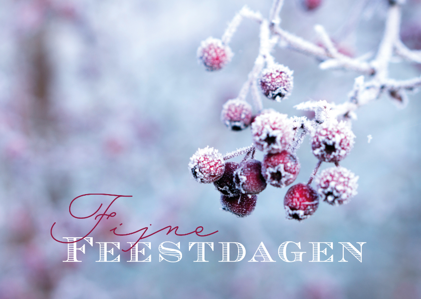 Kerstkaarten - Kerstkaart natuurfoto Fijne feestdagen