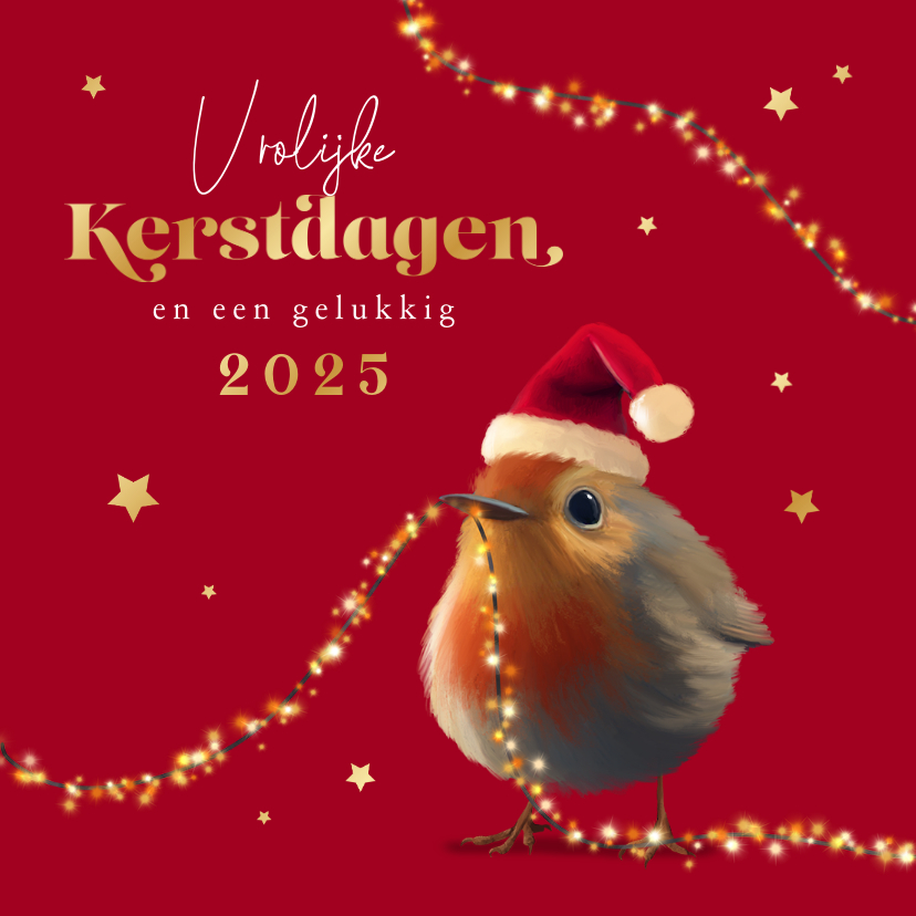 Kerstkaarten - Kerstkaart roodborstje lampjes sterretjes goud kerstmuts