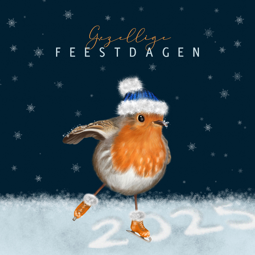 Kerstkaarten - Kerstkaart roodborstje met muts op schaatsen