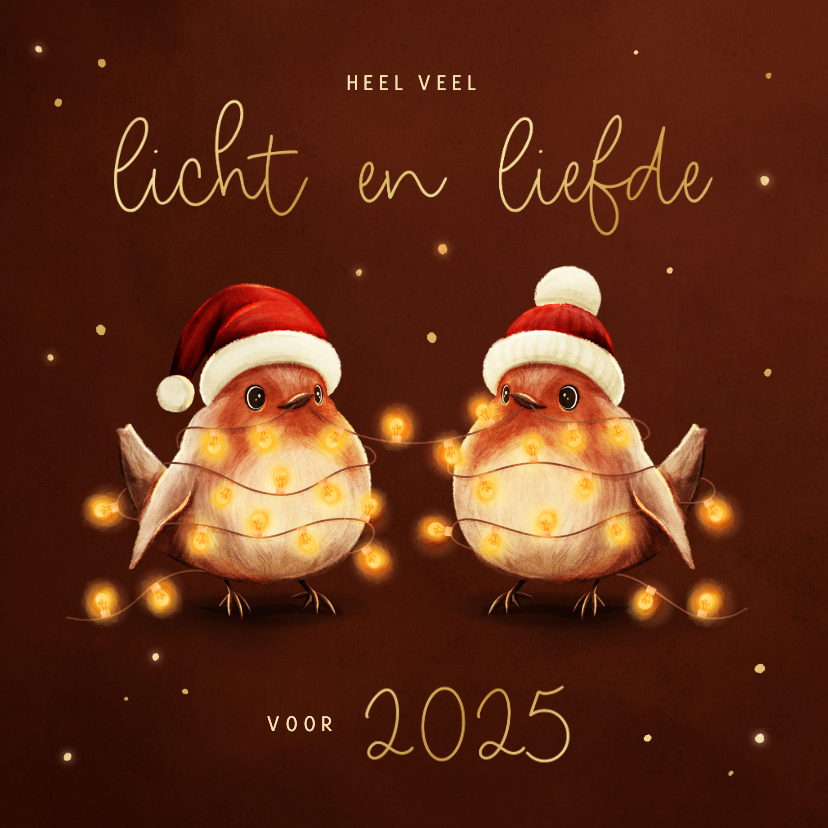 Kerstkaarten - Kerstkaart roodborstjes met lampjes licht en liefde