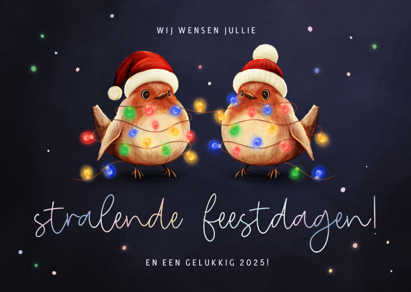 Kerstkaarten - Kerstkaart roodborstjes met lampjes stralende feestdagen