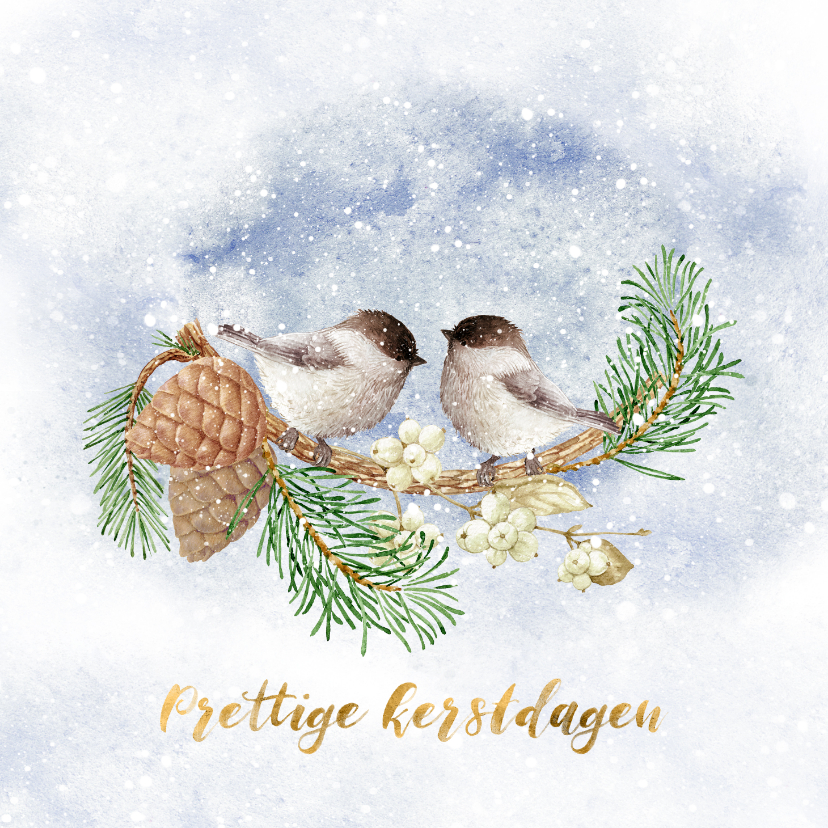 Kerstkaarten - Kerstkaart vogels in de winter