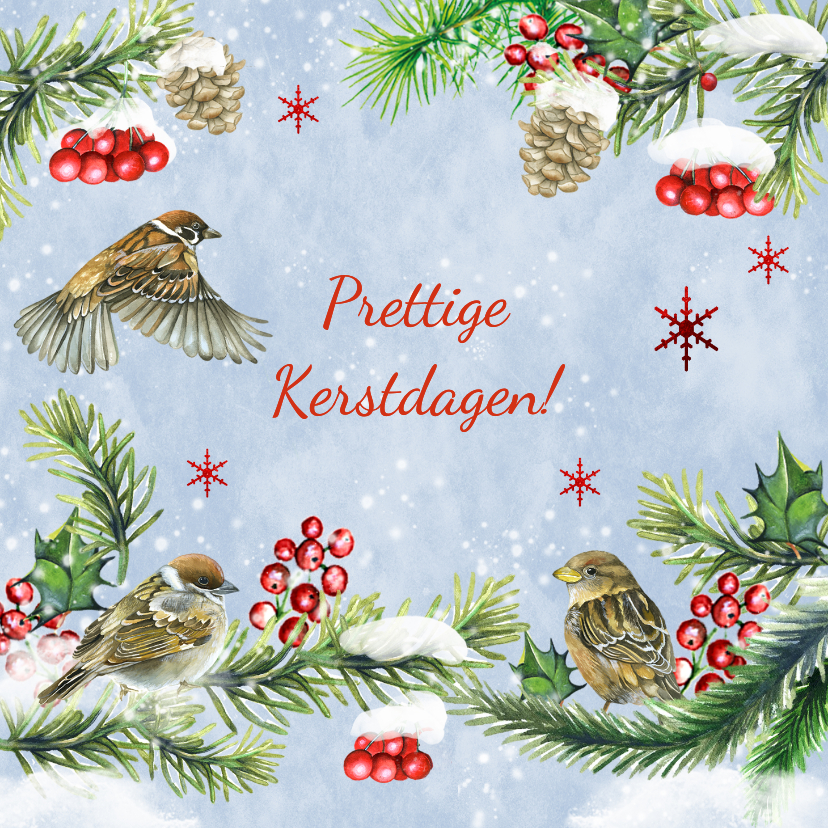 Kerstkaarten - Kerstkaart vogeltjes in sneeuw