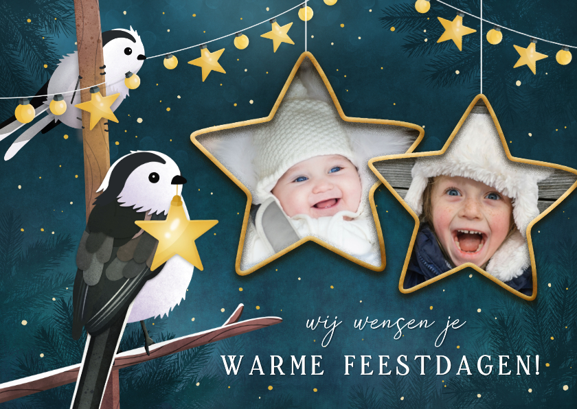 Kerstkaarten - Lieve kerstkaart met 2 vogels met lampjes en eigen foto's