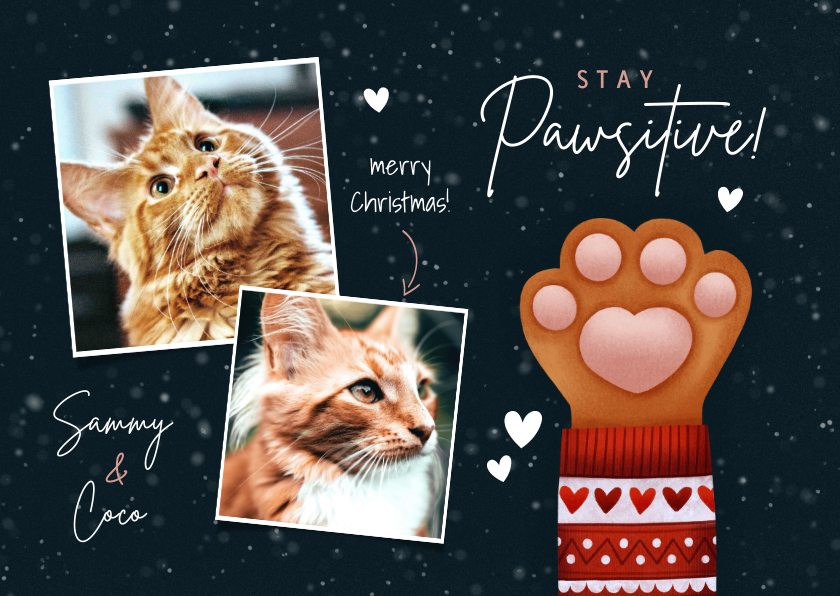 Kerstkaarten - Lieve kerstkaart Stay Pawsitive, kattenpootje en foto's