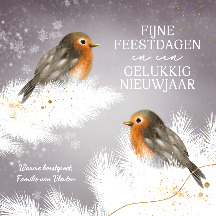 Kerstkaarten - Schattig kerstkaartje roodborstjes in de winter