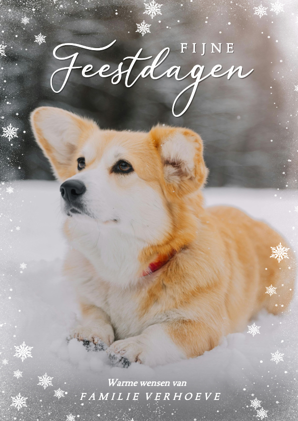 Kerstkaarten - Schattige fotokaart met sneeuw en ijssterren