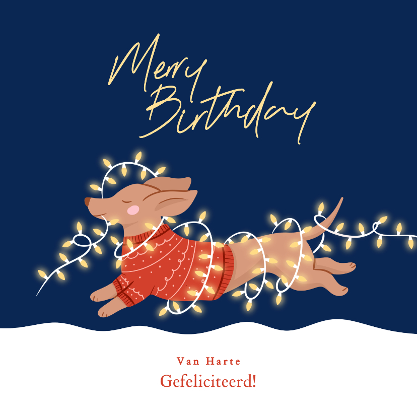 Kerstkaarten - Verjaardagskaart kerst met teckel merry birthday