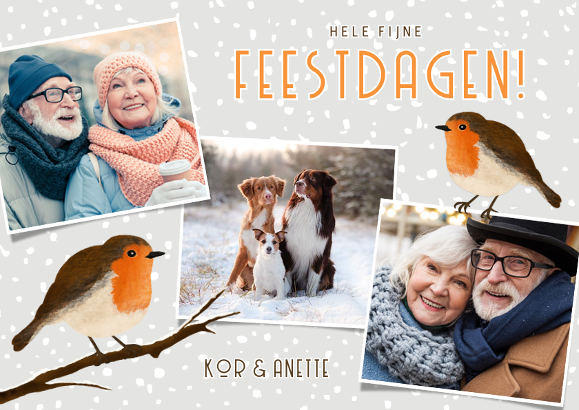 Kerstkaarten - Vrolijke winterse kerstkaart met eigen foto's en roodborstje