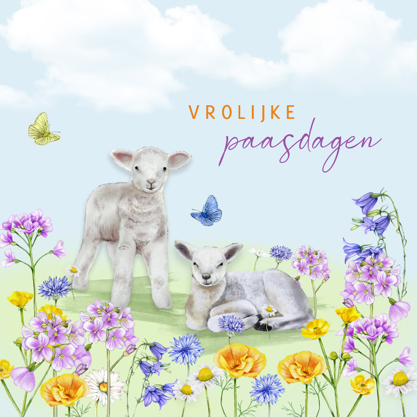 Paaskaarten - Paaskaart lammetjes wilde bloemen