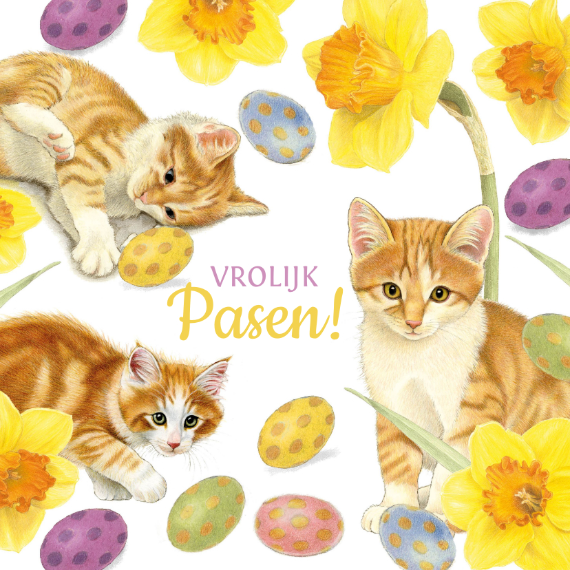 Paaskaarten - Paaskaart met vrolijke kittens tussen de narcissen
