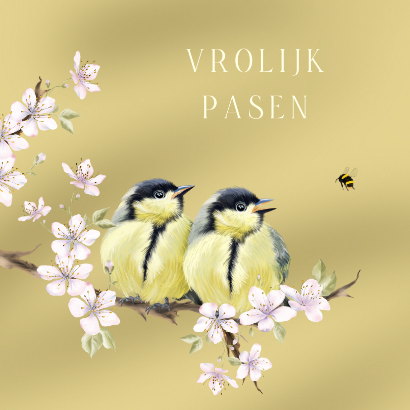 Paaskaarten - Paaskaart twee jonge mezen met bloesem