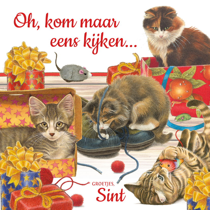 Sinterklaaskaarten - Sinterklaaskaart met katten oh kom maar eens kijken