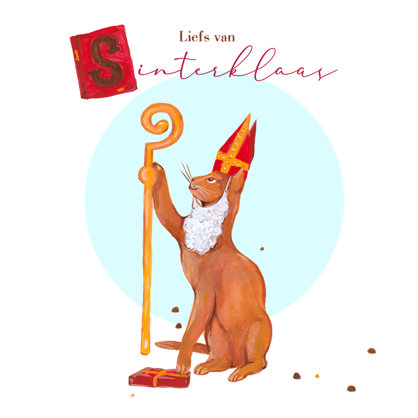 Sinterklaaskaarten - Sinterklaaskaart met poes verkleedt als Sint