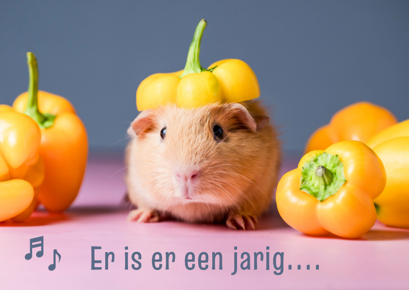 Sinterklaaskaarten - verjaardagskaart cavia met feestmuts van paprika