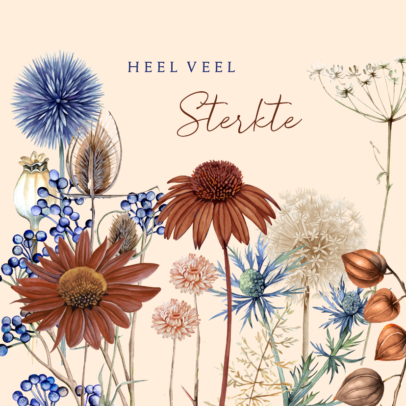 Sterkte kaarten - Sterkte droogbloemen en takken