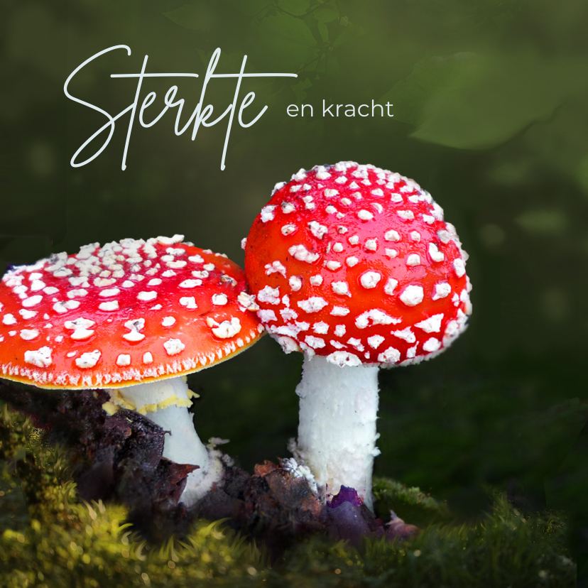 Sterkte kaarten - Sterkte kaart paddenstoelen rood wit