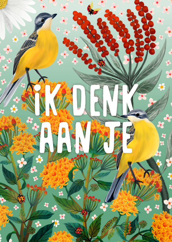 Sterkte kaarten - Sterktekaart met gekleurde bloemen en vogels