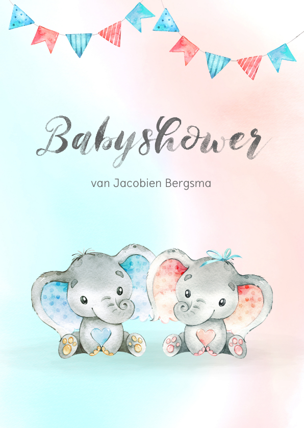 Uitnodigingen - Uitnodiging babyshower blauw/roze