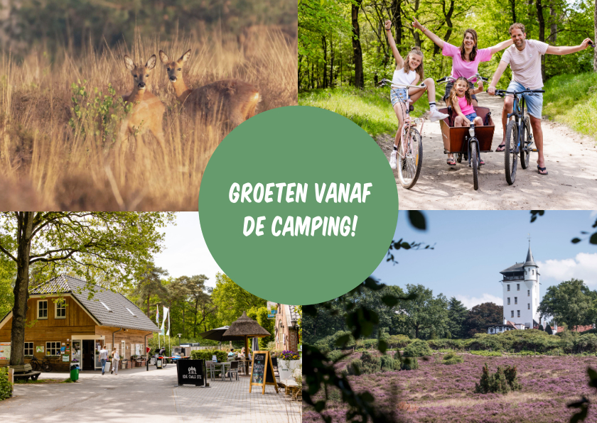 Vakantiekaarten - Groeten vanaf de camping!