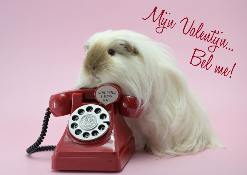 Valentijnskaarten - Valentijns kaart cavia met telefoon