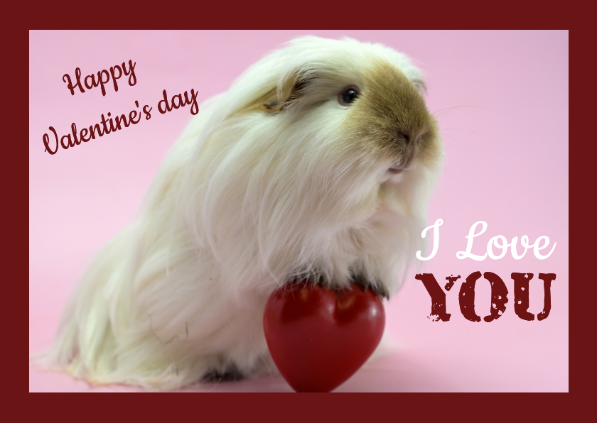 Valentijnskaarten - Valentijnskaart met cavia die een lieve groet brengt