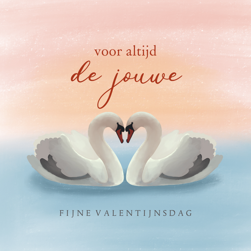 Valentijnskaarten - Valentijnskaart met illustratie van twee zwanen