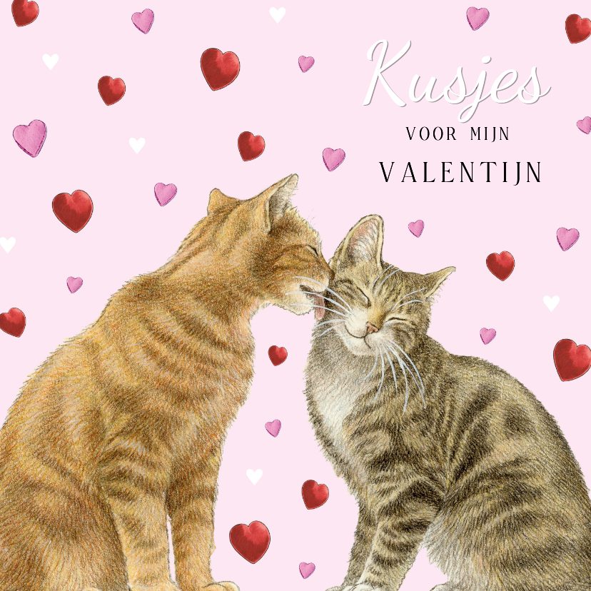 Valentijnskaarten - Valentijnskaart met twee lieve katten en hartjes