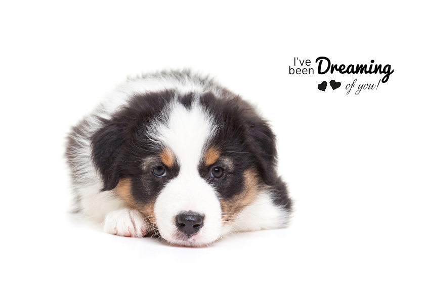 Valentijnskaarten - Valentijnskaart - Puppy - Dreaming of you!