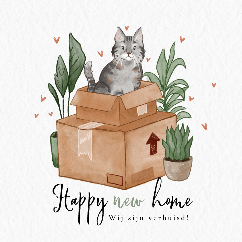 Verhuiskaarten - Verhuiskaart met kat in een verhuisdoos