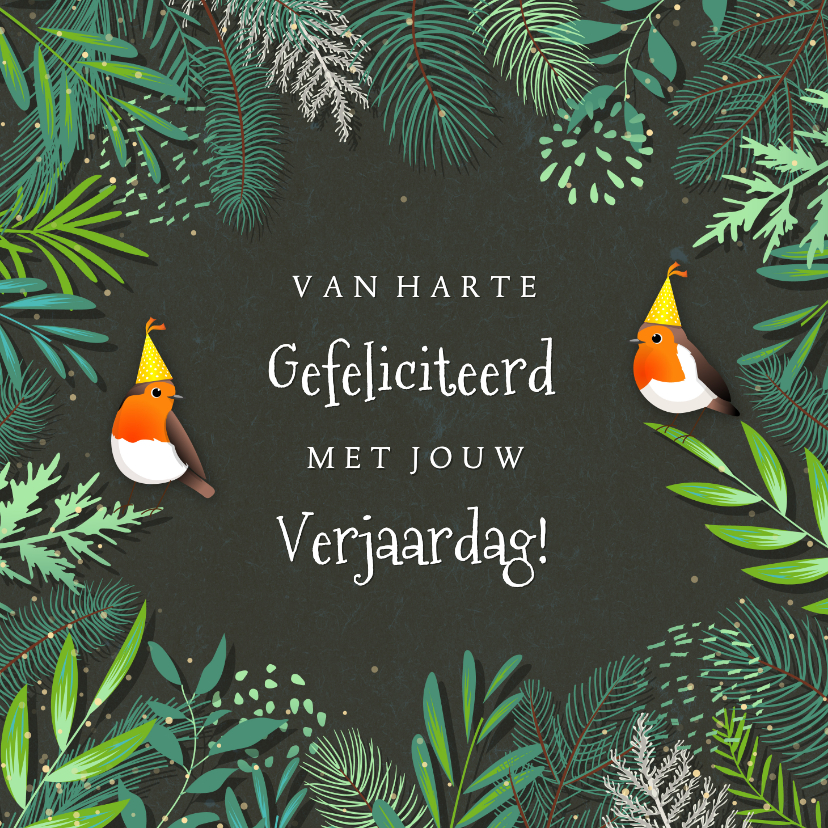 Verjaardagskaarten -  Botanische verjaardagskaart roodborstjes met feestmuts op