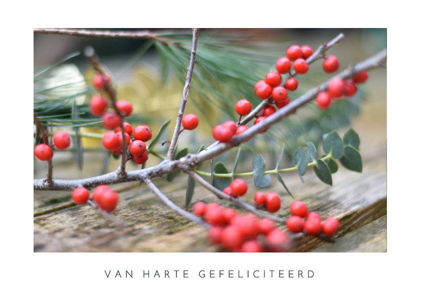 Verjaardagskaarten - Felicitatie kaart kerst december takje met rode besjes