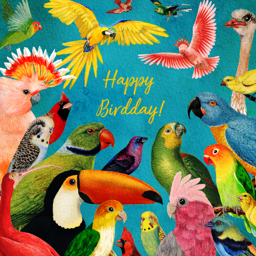 Verjaardagskaarten - Happy Birdday! kleurrijke vogel felicitatiekaart 