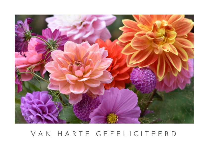 Verjaardagskaarten - Moderne felicitatiekaart met een foto van bloeiende dahlia's