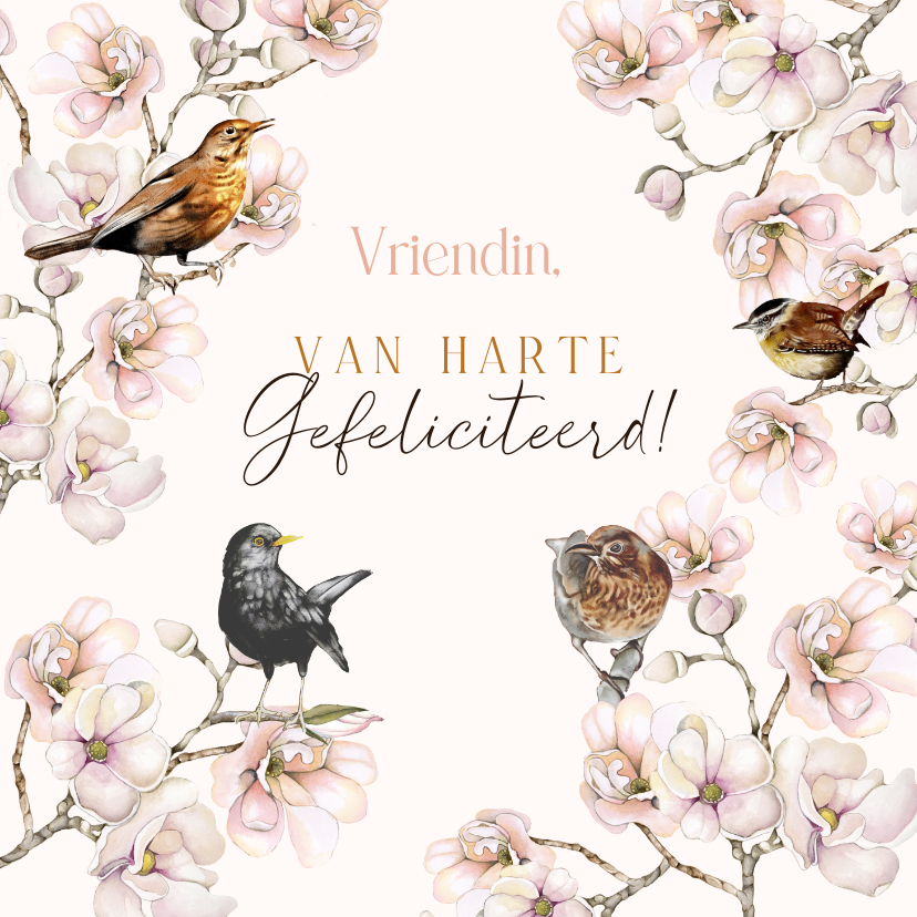 Verjaardagskaarten - Verjaardagskaart bloesemtakken vogels