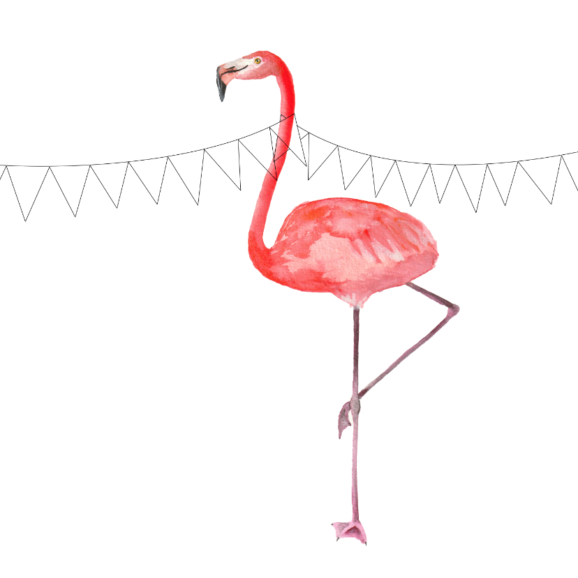 Verjaardagskaarten - Verjaardagskaart Flamingo Huidfonds