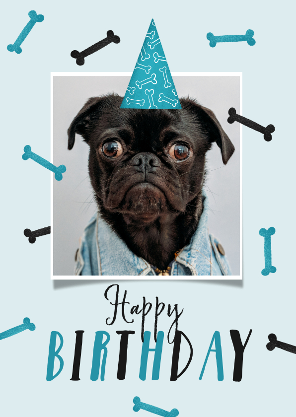 Appal inkomen Bestaan Verjaardagskaart hond happy birthday foto | Kaartje2go