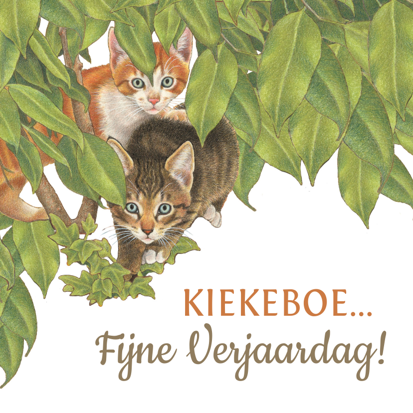 Verjaardagskaarten - Verjaardagskaart Kittens zeggen Kiekekboe!