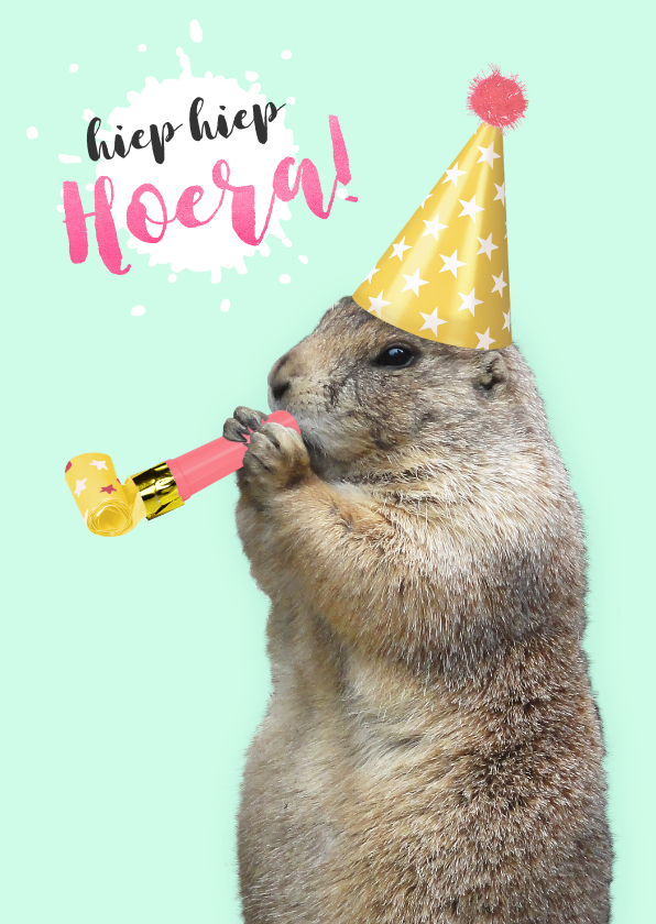 Verjaardagskaarten - Verjaardagskaart marmot met feesthoedje en toeter