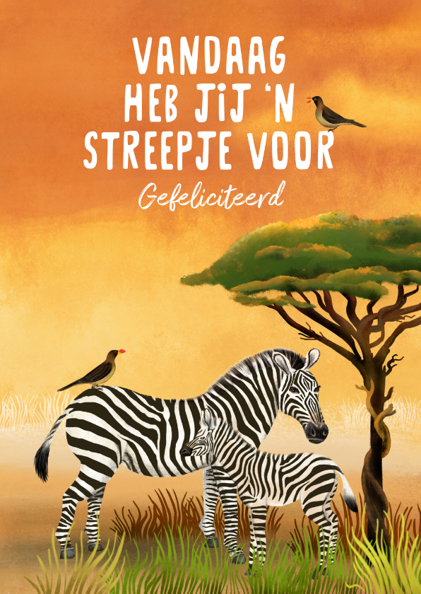 Verjaardagskaarten - Verjaardagskaart met zebra's