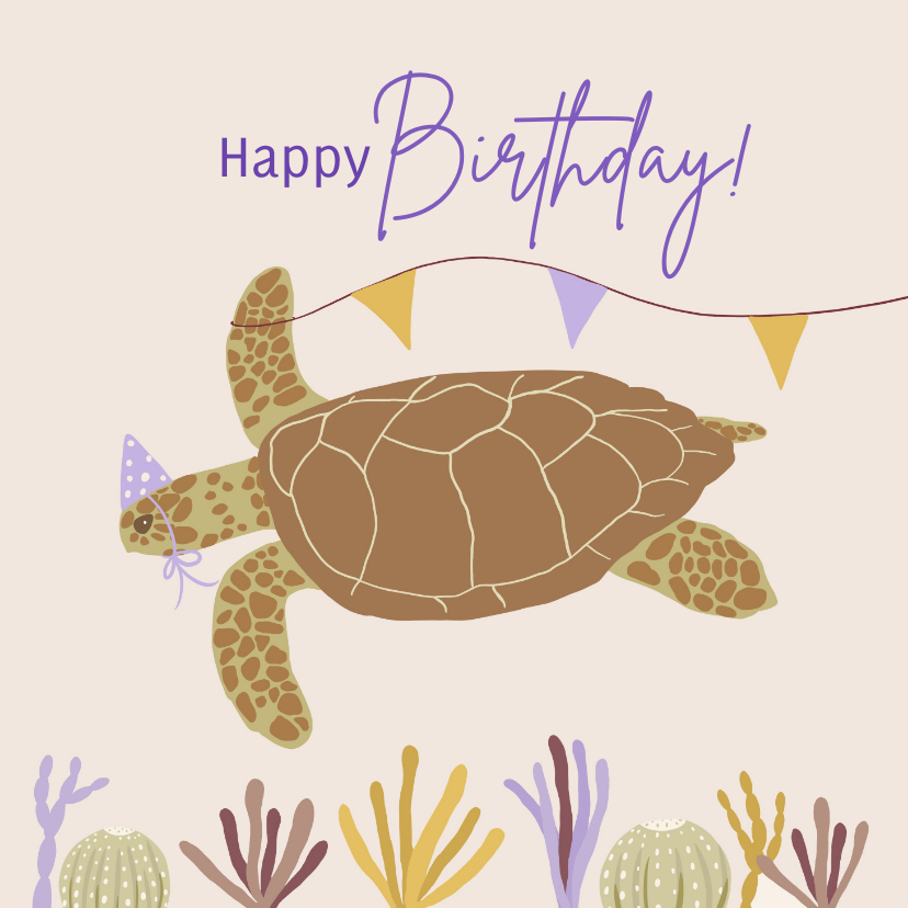 Verjaardagskaarten - Verjaardagskaart schildpad met feesthoedje