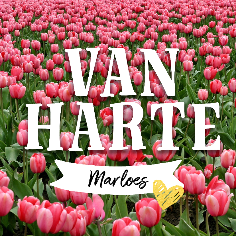 Verjaardagskaarten - Verjaardagskaart tulpen en naam