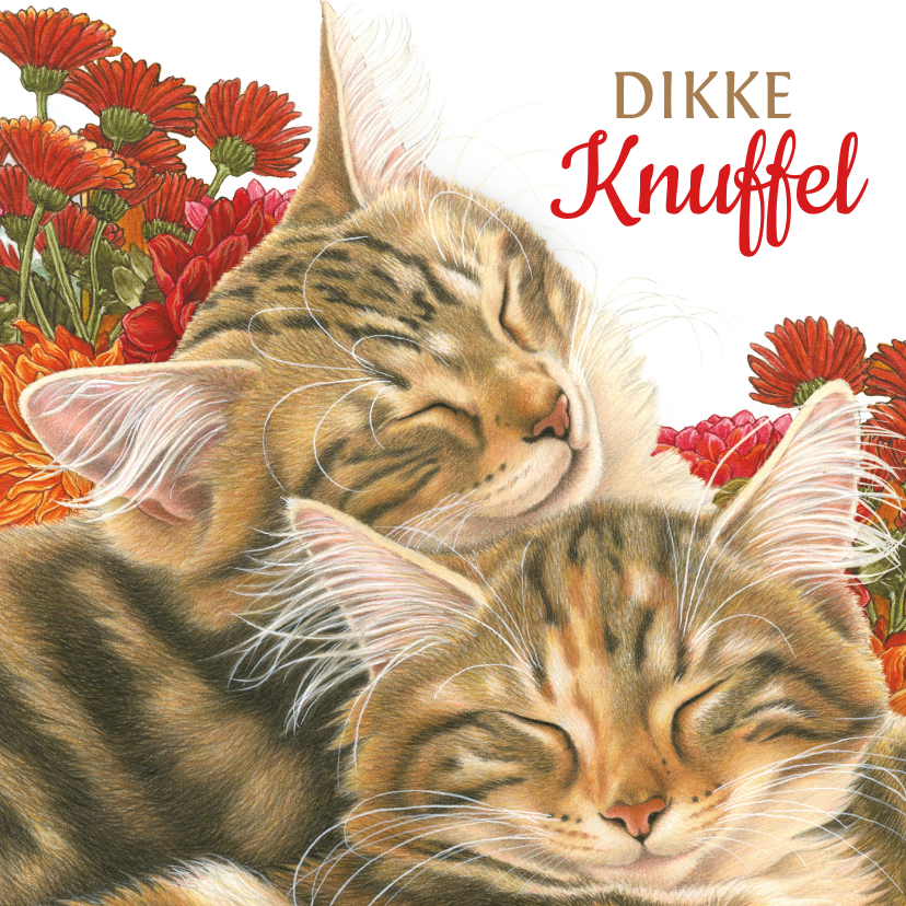 betekenis Omzet Nevelig Dikke Knuffel kaart met katten en bloemen | Kaartje2go