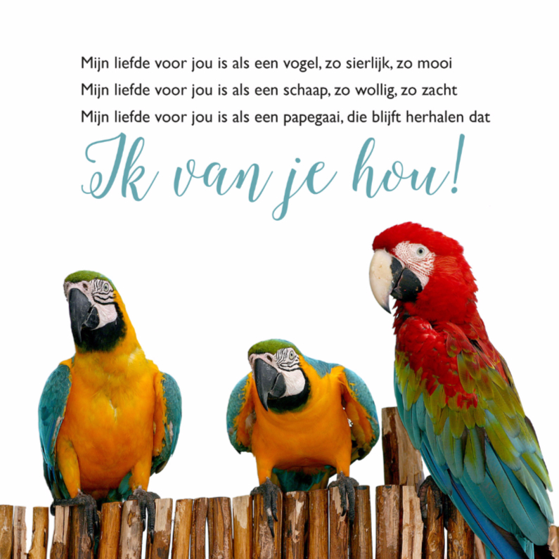 Wenskaarten - Gedichtenkaart liefde met papegaaien