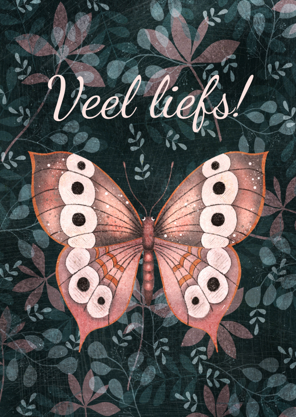 Wenskaarten - Kleurrijke zomaar kaart met vlinder