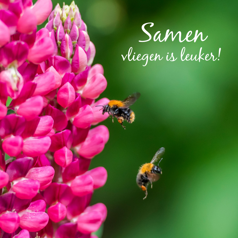 Wenskaarten - Liefde kaart vol kleurige bloemen en twee vliegende bijen