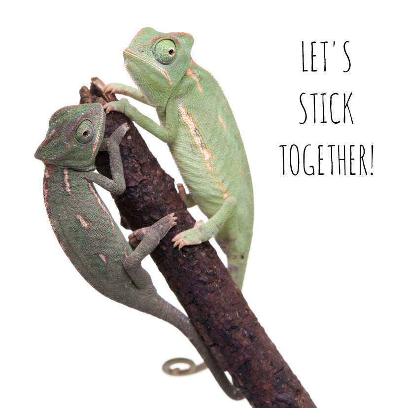 Wenskaarten - Liefde - Let's stick together - Kameleon