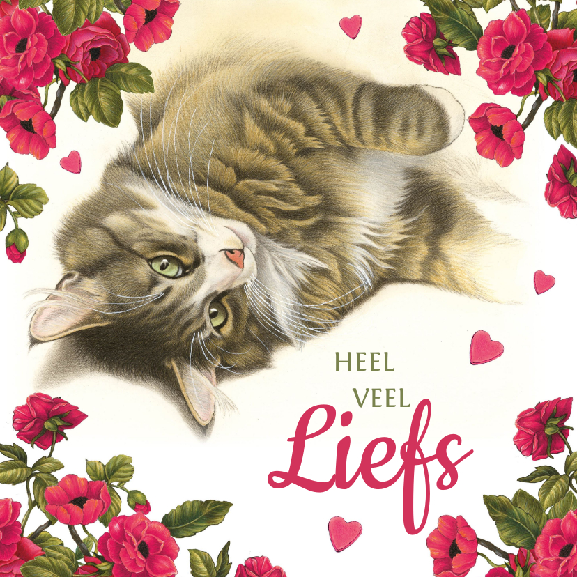 Wenskaarten - Liefdeskaart met liggende kat, bloemen en hartjes